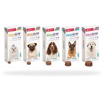 Bravecto 10-20kg 1 tabl