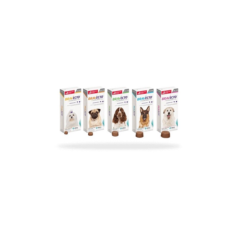 Bravecto 10-20kg 1 tabl