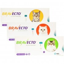 Bravecto Spot On Pisica 2,8-6,25kg 250mg